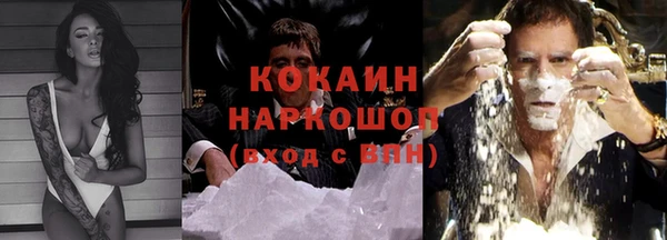 индика Алзамай