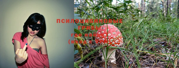 индика Алзамай