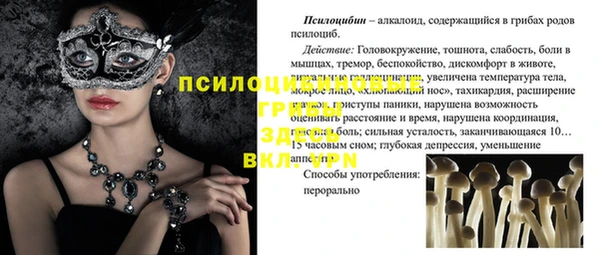 амф Абинск