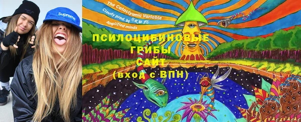 амф Абинск